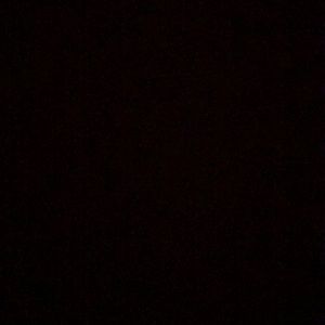 Meet your Posher, Taisha